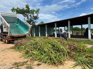 Cooperação: Secretaria Rural de Várzea Grande MT transportou uma carga de capim Capiaçu para Assentamento Nossa Senhora Aparecida