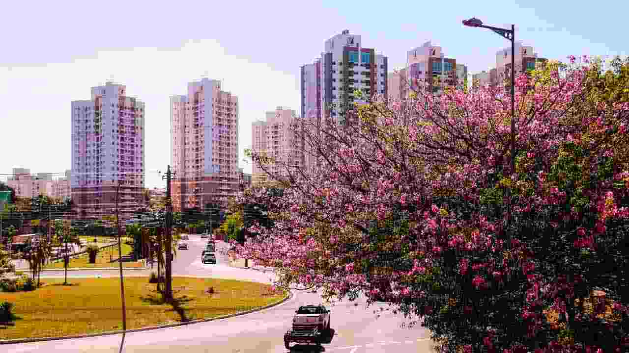 Desigualdade; conheça as cidades mais ricas e mais pobres de Mato Grosso