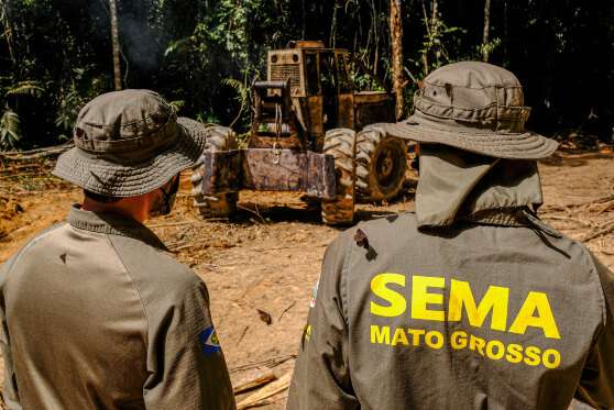 Governador lança operação Amazônia de combate ao desmatamento ilegal na próxima terça-feira