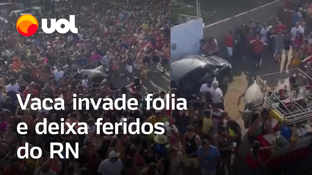 Vaca invade carnaval de rua, causa pânico e deixa feridos no Rio Grande do Norte